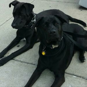 Meet your Posher, Cheryl